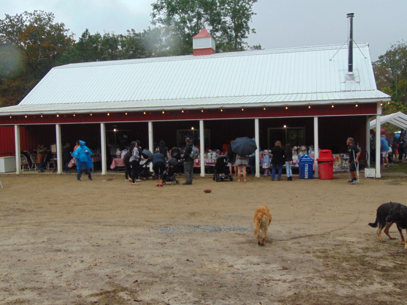 Farm gallery 1 (1).JPG